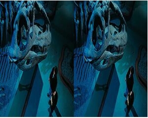 3D Video SBS Full HD